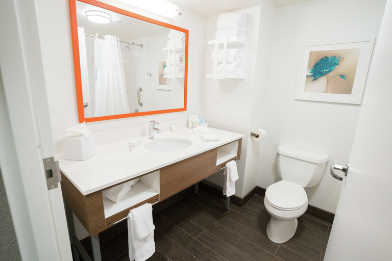 Bathroom 5, Hampton Inn Clarks Summit, Lackawanna