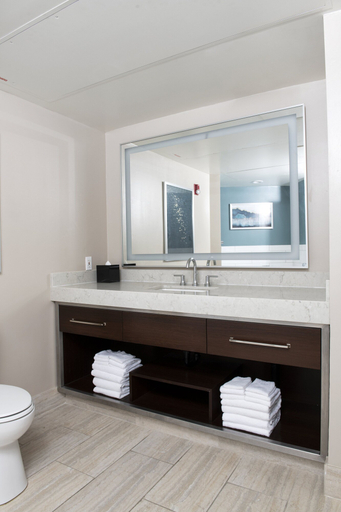 Bathroom 5, Club Wyndham Harbour Lights, San Diego
