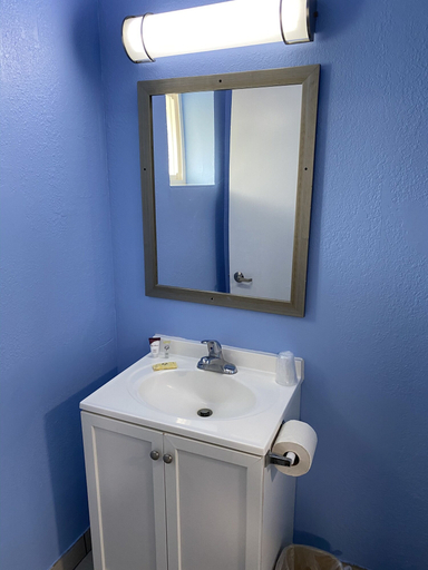 Bathroom 5, Red Carpet Inn and Suites, Burlington