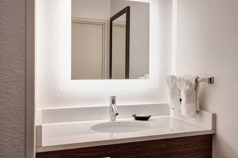 Bathroom 4, Springhill Suites By Marriott Phoenix Downtown, Maricopa