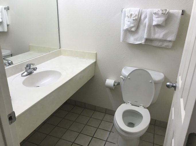 Bathroom 4, Country Inn Motel, Bexar