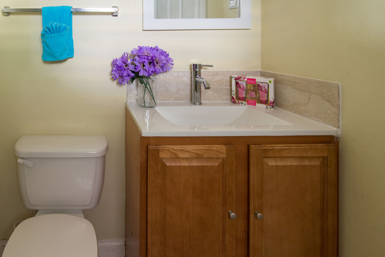 Bathroom 3, Claudeville Condo