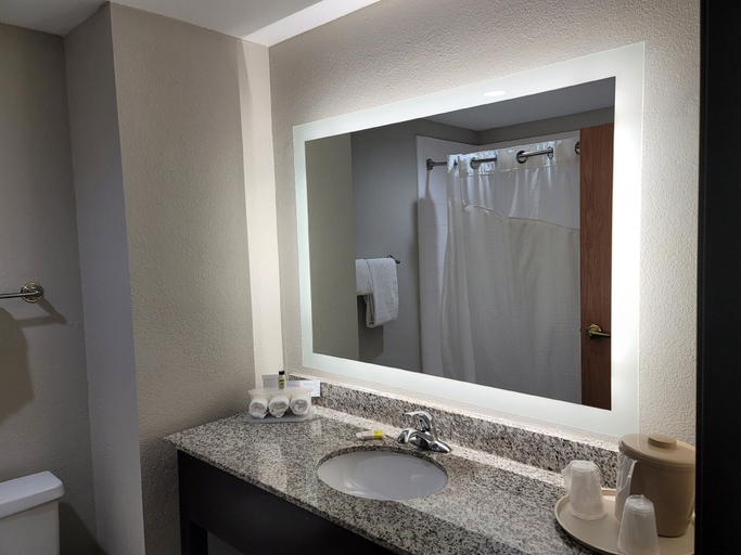 Bathroom 5, Holiday Inn Express & Suites WILSON-DOWNTOWN by IHG, Wilson