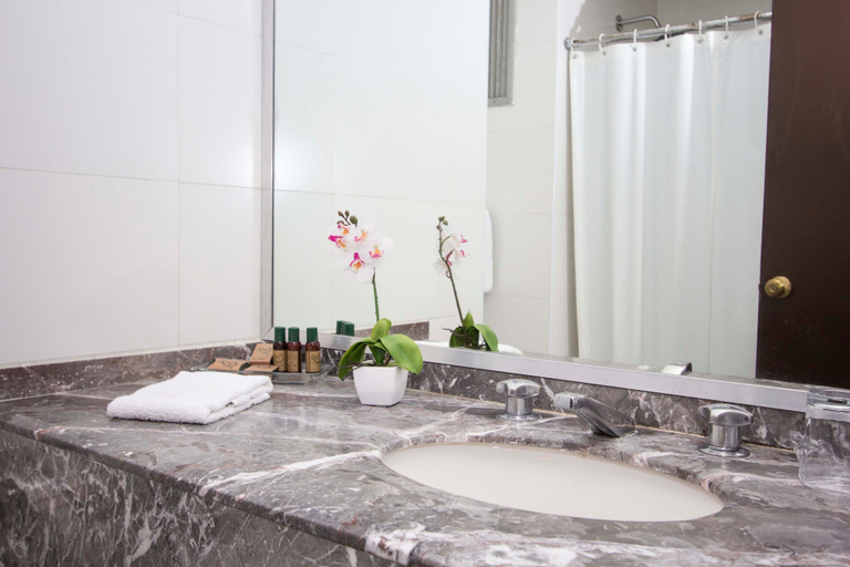Bathroom 5, Hotel Valle de México, Naucalpan de Juárez