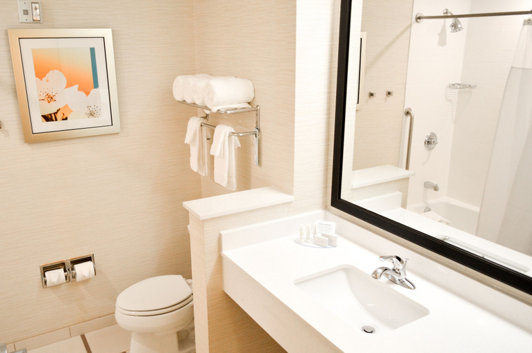Bathroom 5, Fairfield Inn & Suites San Antonio Brooks City Base, Bexar