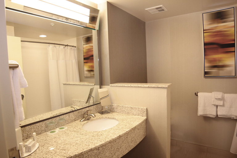 Bathroom 4, Courtyard by Marriott Jackson Airport/Pearl, Rankin