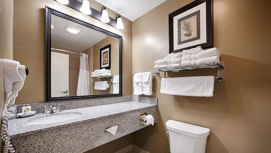 Bathroom 4, Best Western Plus Layton Park Hotel, Davis