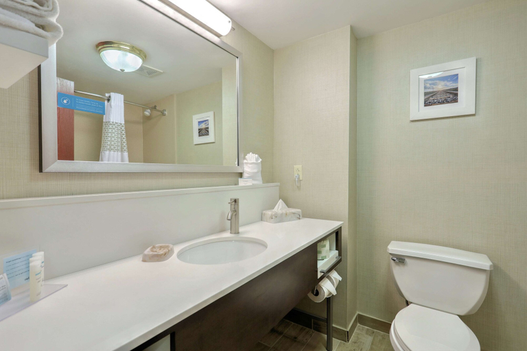 Bathroom 4, Hampton Inn Batavia, Genesee