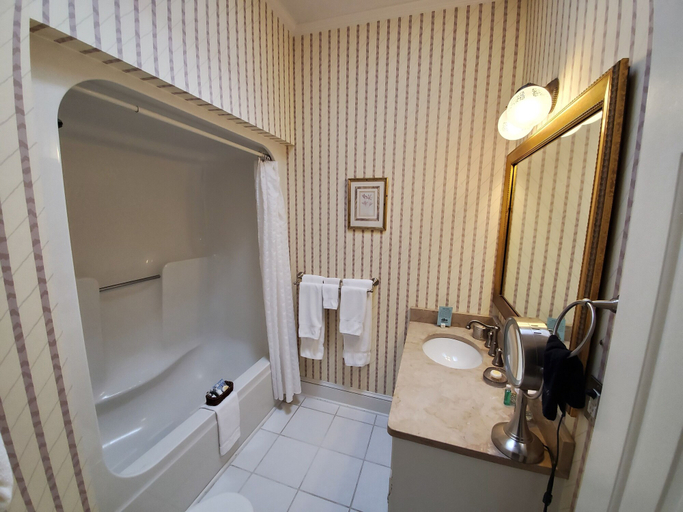 Bathroom 4, Morehead Inn, Mecklenburg
