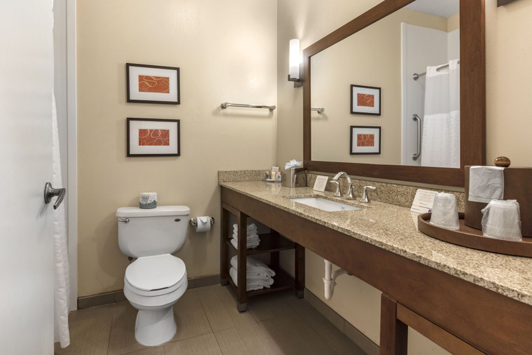 Bathroom 5, Comfort Inn Memphis Downtown, Shelby