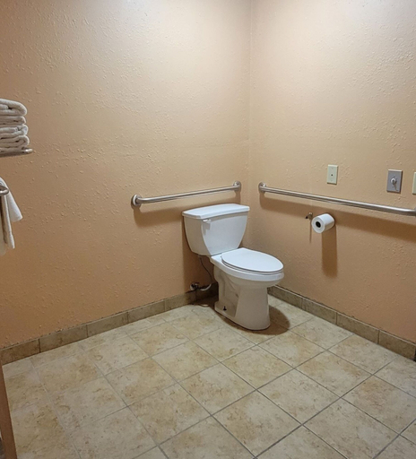 Bathroom 3, Quality Inn & Suites Mount Pleasant, Henry