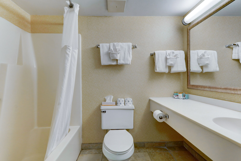 Bathroom 3, Chateau Resort & Conference Center, Monroe