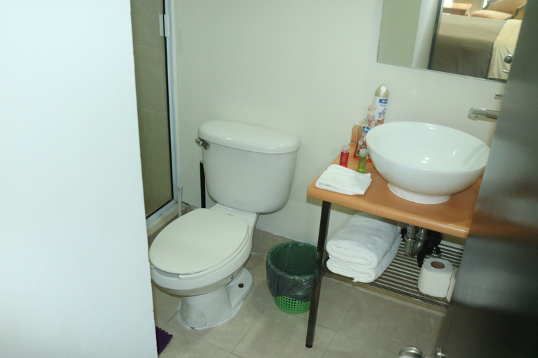 Bathroom 3, Puerta Alameda Suites, Mexico City