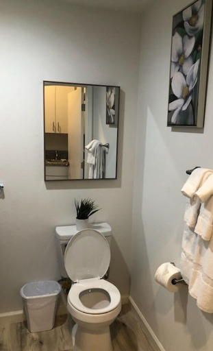 Bathroom 3, Villa Alamari Inn And Suites, Fresno