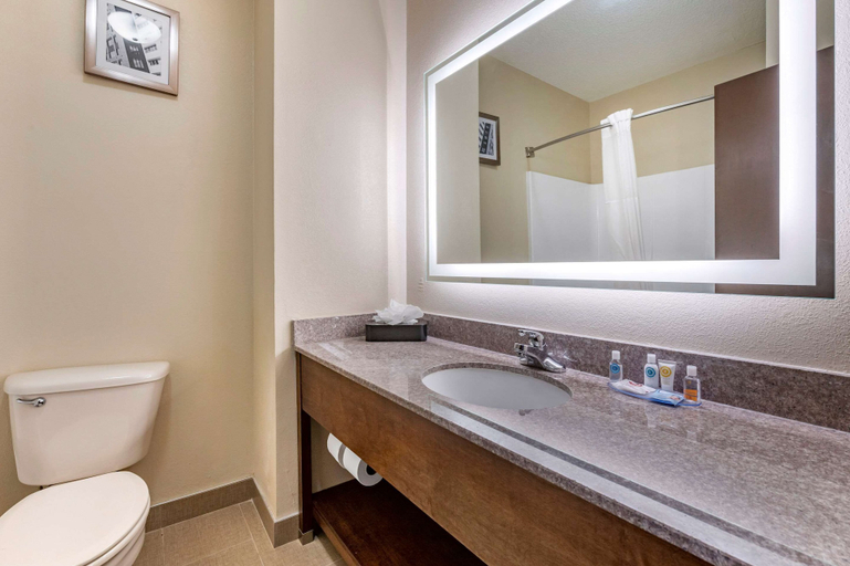 Bathroom 4, Comfort Inn & Suites Cincinnati Uptown Clifton, Cincinnati
