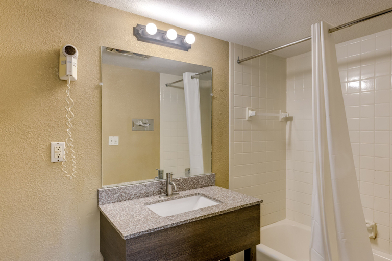 Bathroom 3, Quality Inn Detroit Downtown, Wayne