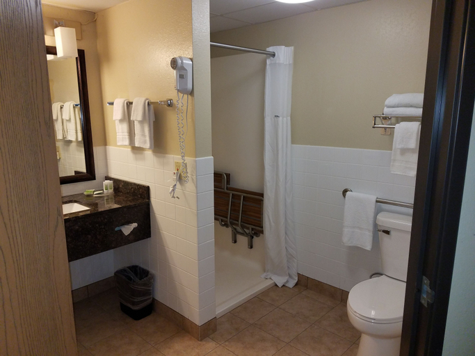 Bathroom 4, AmericInn by Wyndham Menomonie, Dunn