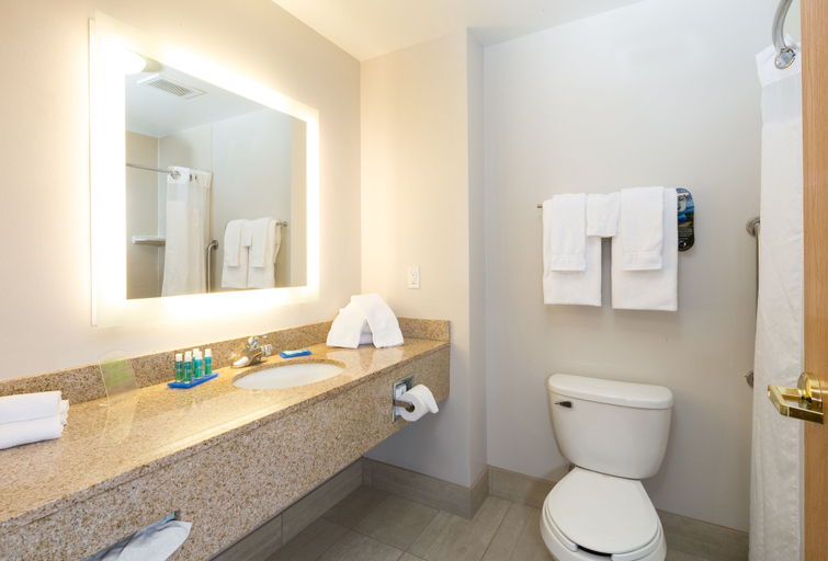 Bathroom 3, Holiday Inn Express & Suites DETROIT - UTICA by IHG, Macomb