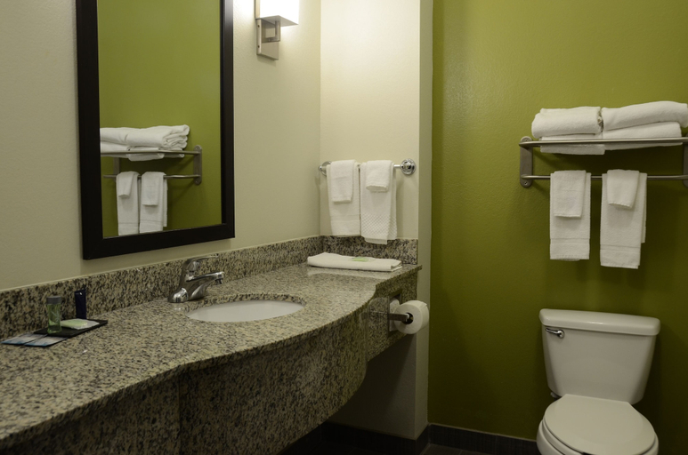Bathroom 4, Sleep Inn & Suites Cave City, Barren