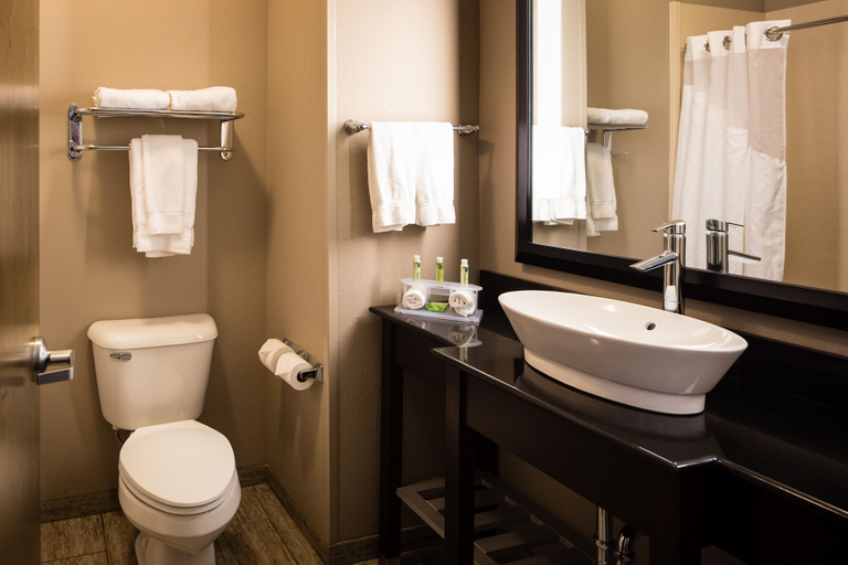 Bathroom 3, Holiday Inn Express & Suites EL RENO, Canadian