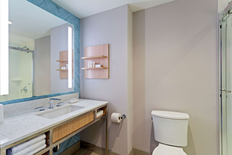 Bathroom 5, Hilton Garden Inn Boston Brookline, MA, Boston