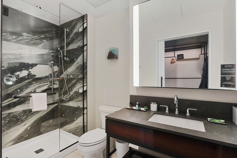 Bathroom 4, Canopy by Hilton Memphis Downtown, Shelby