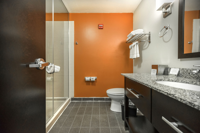 Bathroom 4, Sleep Inn & Suites and Conference Center Downtown, Indianapolis