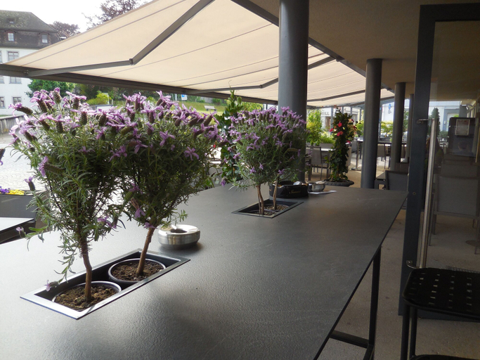 Exterior 5, Apartment Dufour, Rheintal
