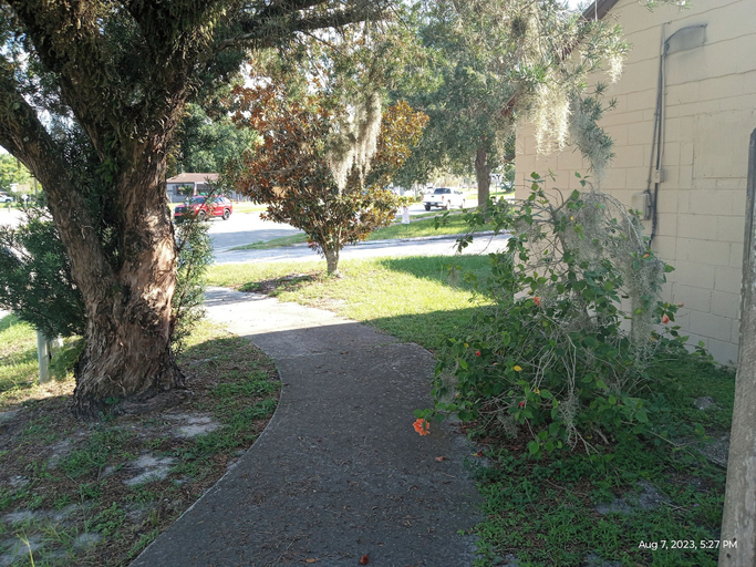 Others 5, Homes-N-Courts, Seminole