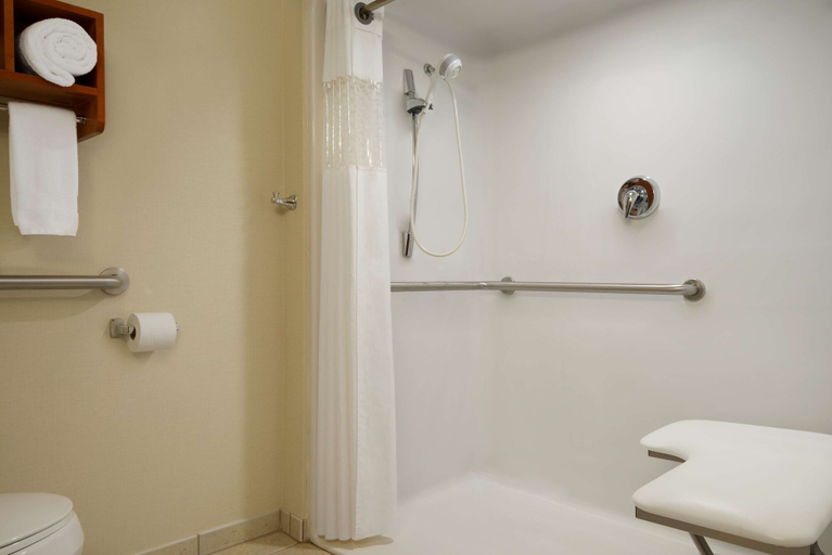 Bathroom 4, Hampton Inn Lehighton-Jim Thorpe, Carbon