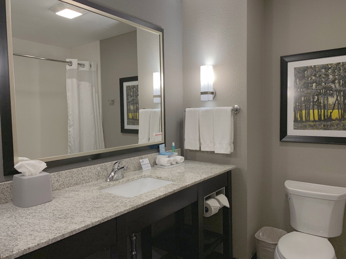 Bathroom 3, Holiday Inn Express & Suites MADISON CENTRAL, Dane