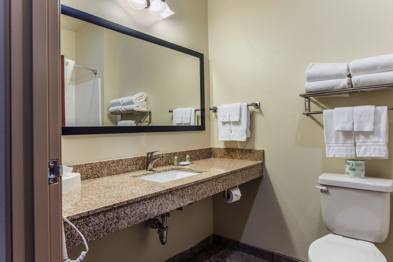 Bathroom 4, Cobblestone Hotel & Suites - Andrews, Andrews