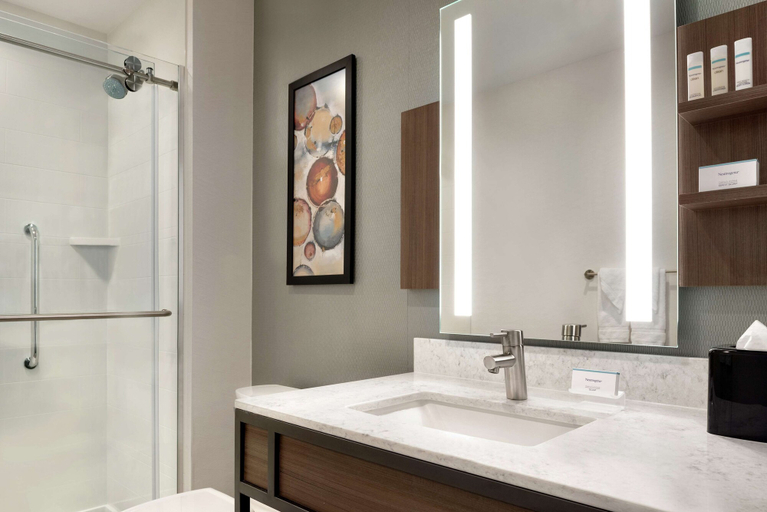Bathroom 4, Hilton Garden Inn Chicago Downtown South Loop, Cook