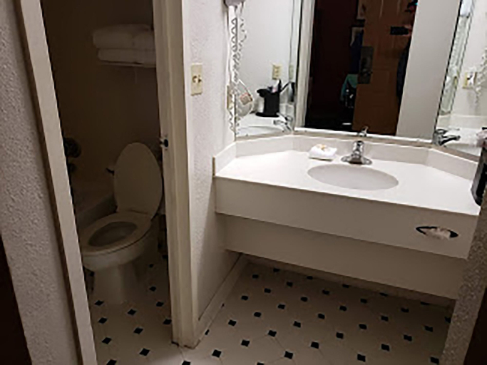 Bathroom, Norwood Inn & Suites Merrillville, Lake