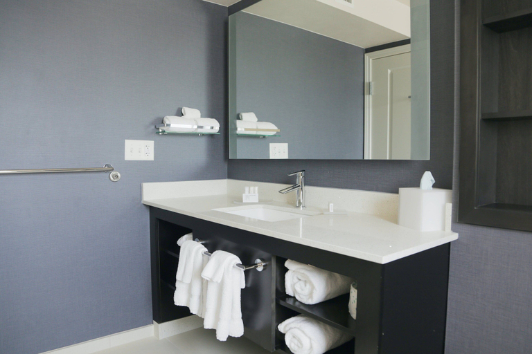 Bathroom 5, Residence Inn by Marriott Providence Lincoln, Providence