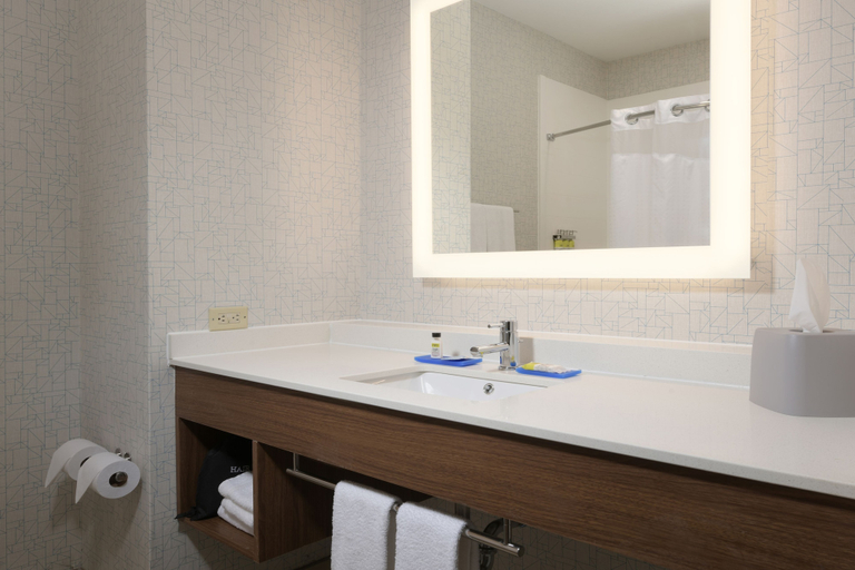 Bathroom, Holiday Inn Express & Suites CAMDEN by IHG, Ouachita