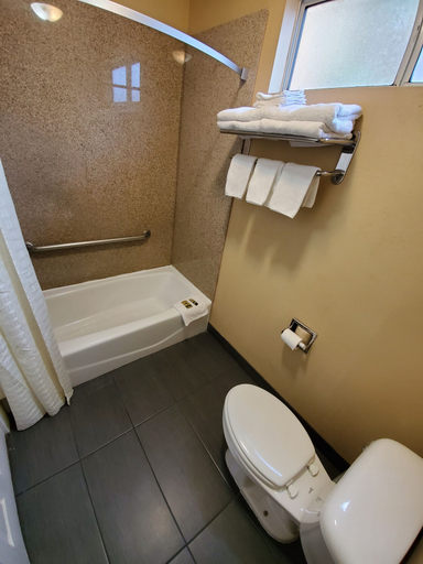 Bathroom 4, Delmonico Inn & Suites, Los Angeles