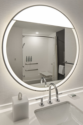 Bathroom 4, Courtyard by Marriott Owatonna Downtown, Steele