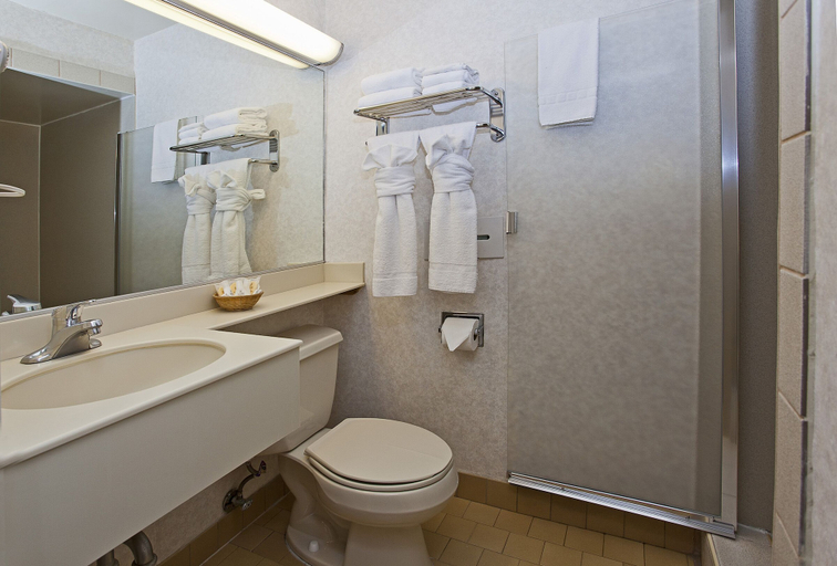 Bathroom 4, Townhouse Motel, San Francisco