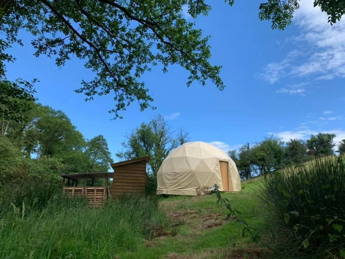 Others 5, Frowen Fields, Carmarthenshire