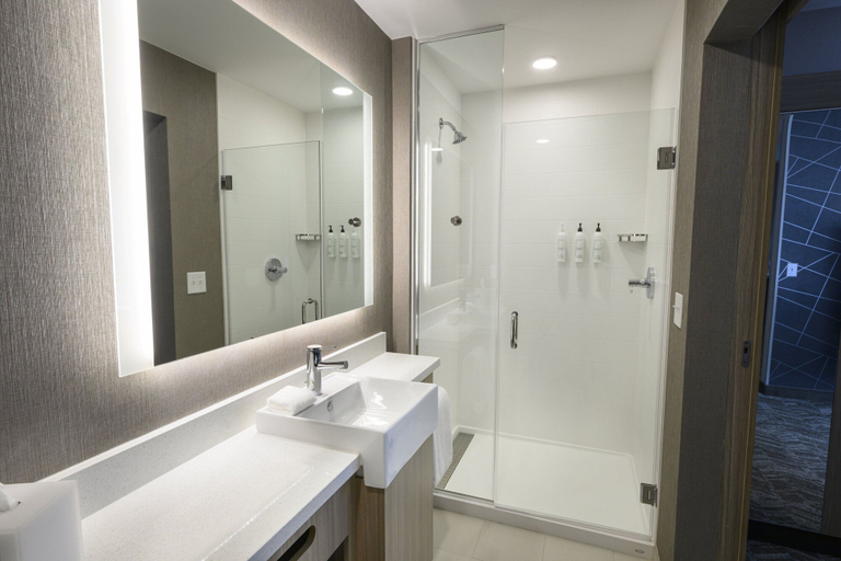 Bathroom 4, SpringHill Suites by Marriott Colorado Springs Downtown, El Paso