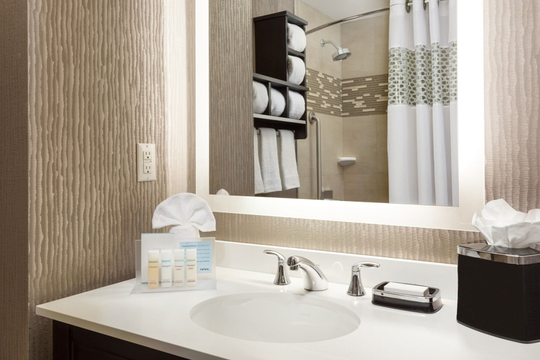 Bathroom 5, Hampton Inn Manhattan/Times Square Central, New York