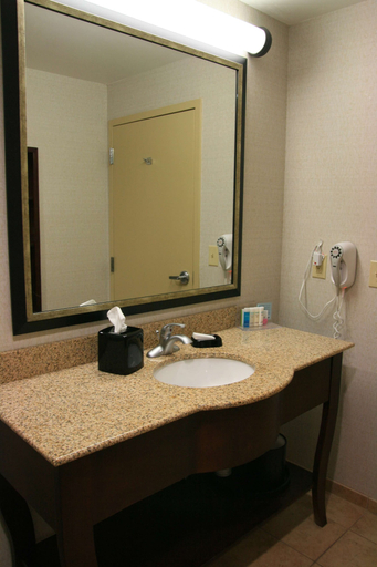 Bathroom 3, Hampton Inn & Suites West Point, Clay