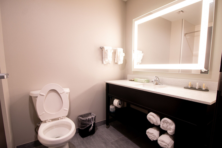 Bathroom 4, Hotel Pryor, Mayes