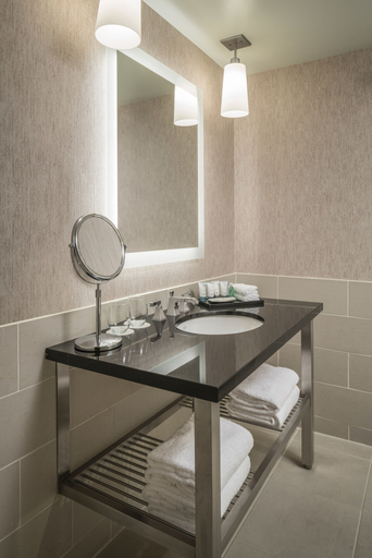 Bathroom 5, The Westin Tysons Corner, Fairfax