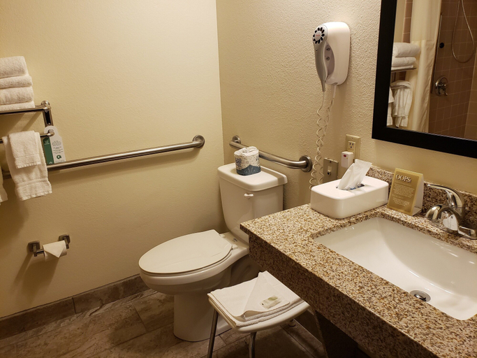 Bathroom 5, Cobblestone Inn & Suites - Merrill, Lincoln