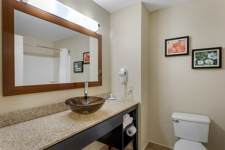 Bathroom 5, Comfort Inn & Suites Canton Riverstone Area, Cherokee