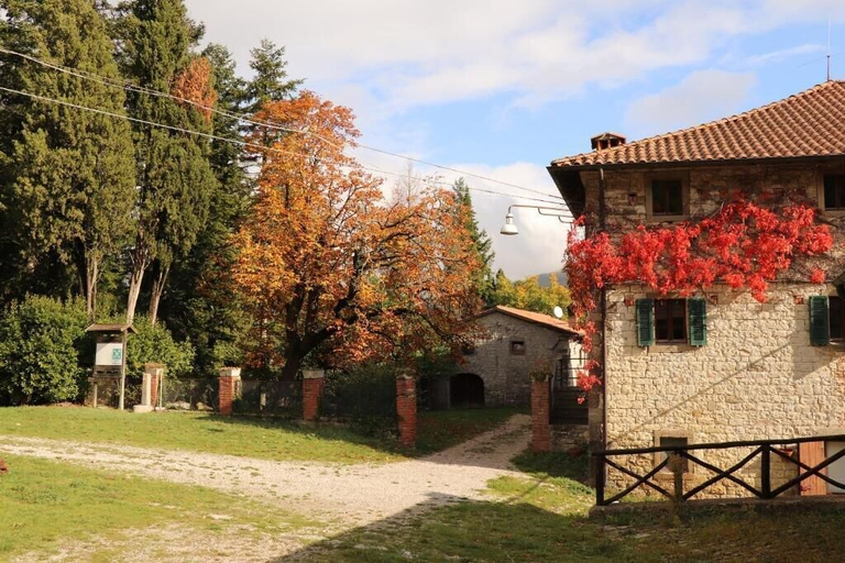 Exterior & Views 2, Agriturismo Villaggio Eden, Arezzo