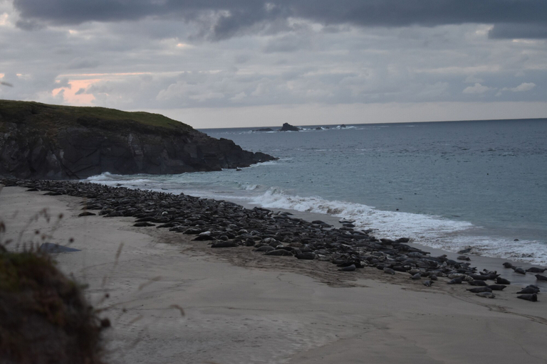 Others 5, Great Blasket Island Accommodation