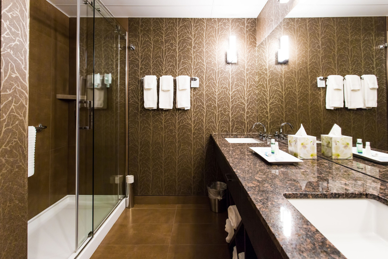 Bathroom 4, Hotel Blackfoot, Division No. 6